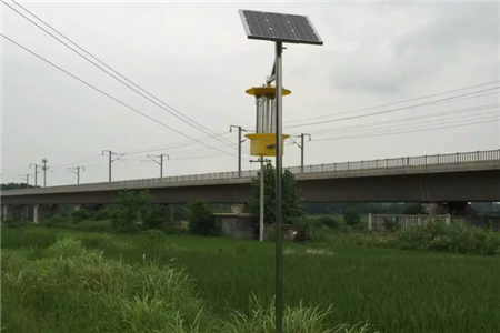 頻振式太陽能殺蟲燈